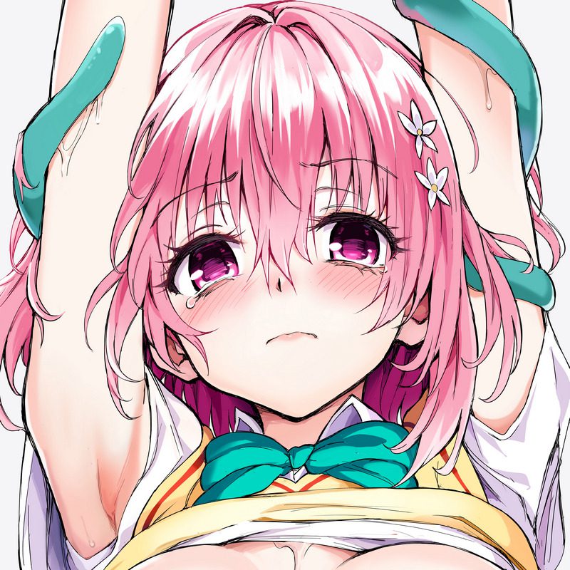触手 主题 束缚 捆绑 动漫 P站 同人cg插画 第6弹