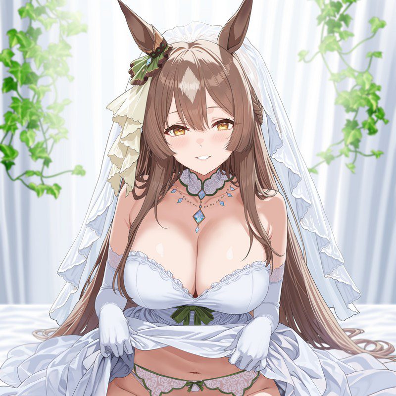 赛马娘 25年6月份更新 所有相关的图集
