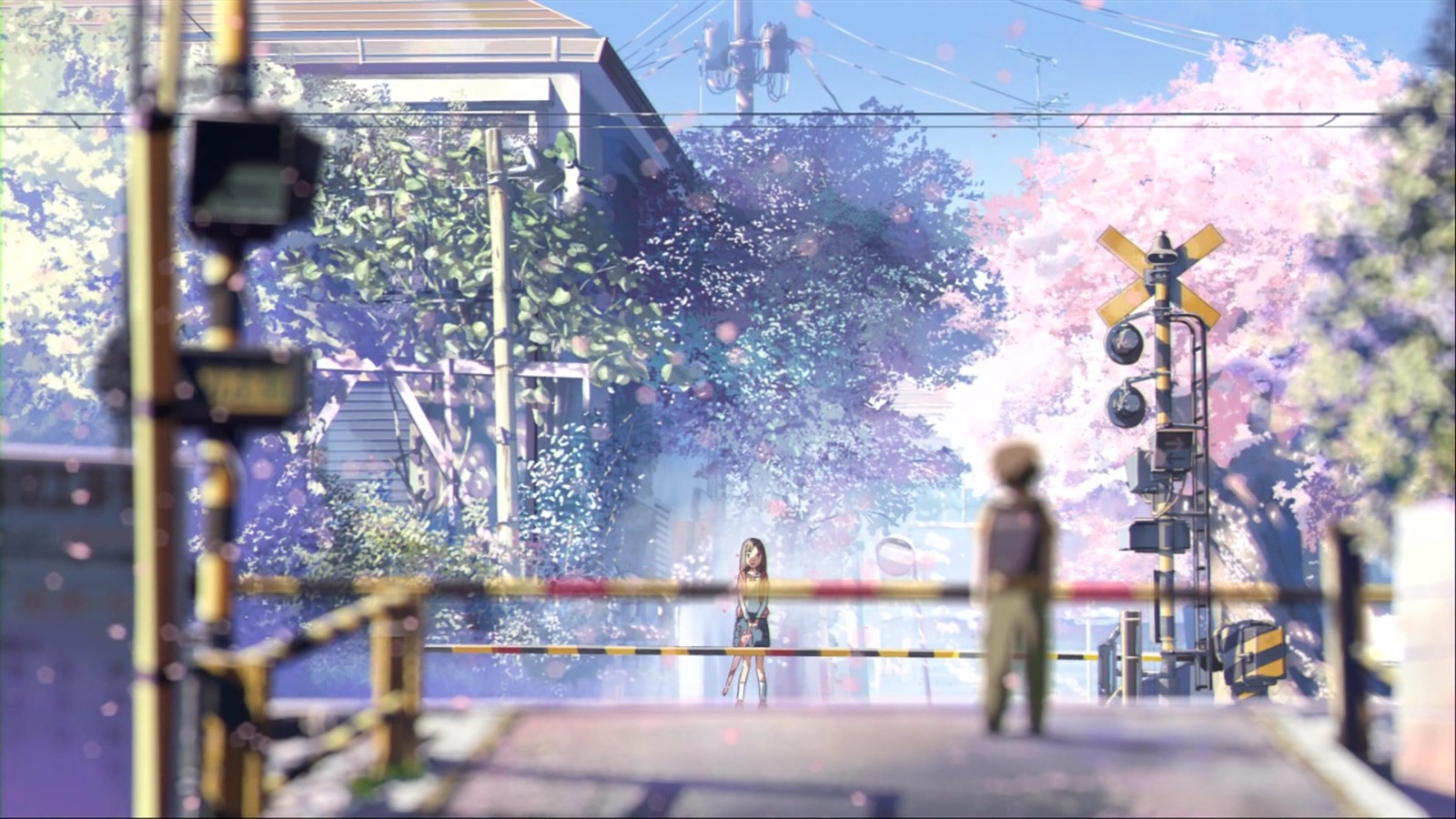 真人版《秒速五厘米》入选第30届釜山国际电影节