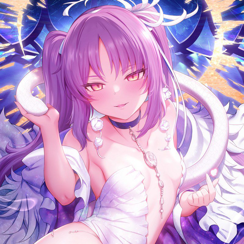 fgo 25年8月份更新 所有相关的图集
